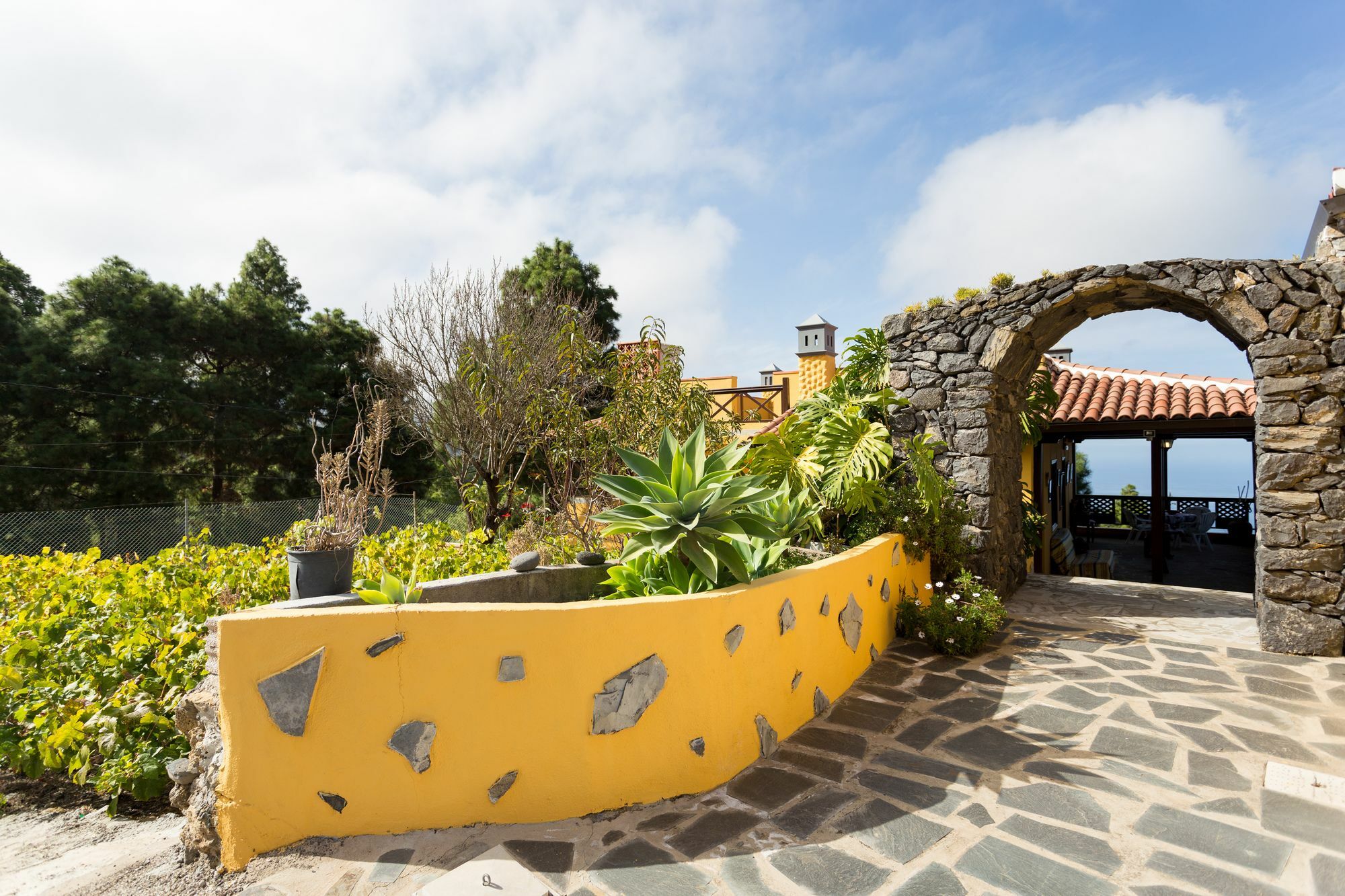 Finca Casa Yaya Icod de los Vinos Kültér fotó