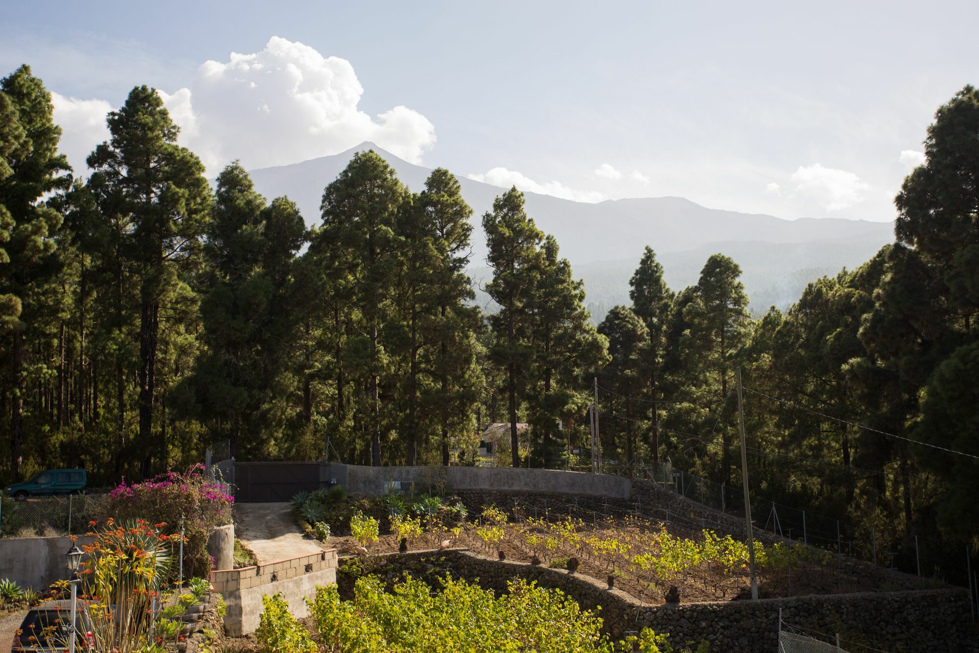 Finca Casa Yaya Icod de los Vinos Kültér fotó