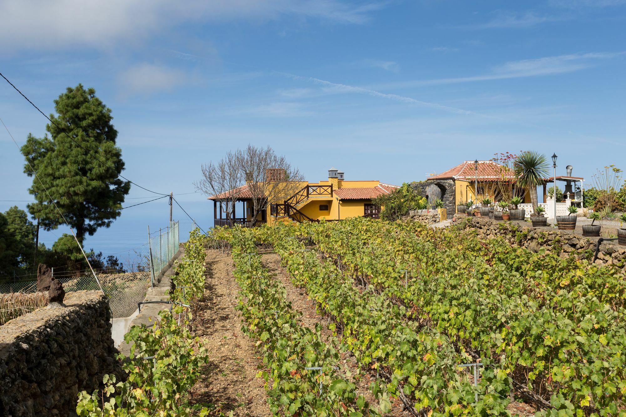 Finca Casa Yaya Icod de los Vinos Kültér fotó