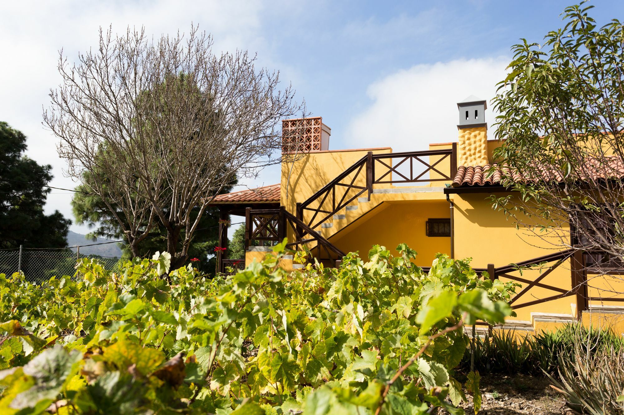 Finca Casa Yaya Icod de los Vinos Kültér fotó
